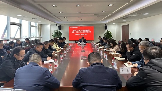 集團(tuán)黨委委員、副總經(jīng)理楊金川到公司宣講黨的二十屆三中全會和省委十二屆六次全會精神